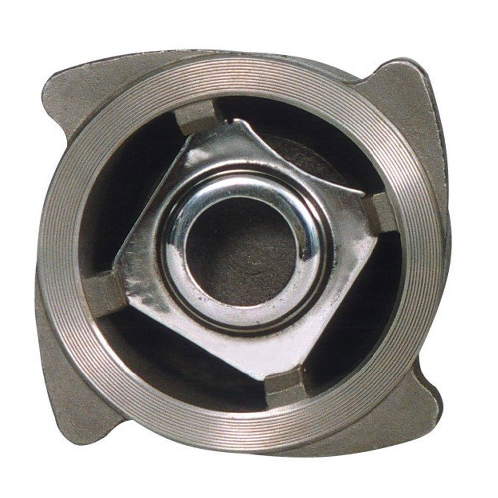 Stainless Steel 304 Check Valve